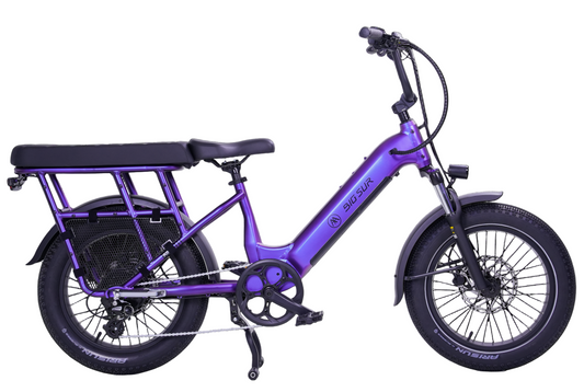AIMA Big Sur Cargo 15A 20" E-Bike
