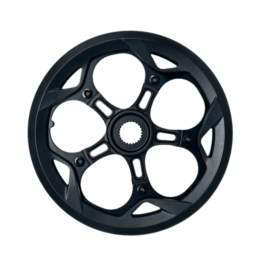 AIMA Chainring for Santa Monica