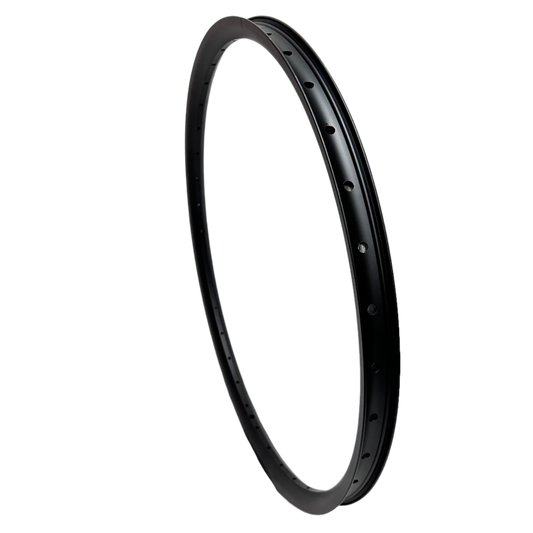 AIMA Rim for Santa Monica