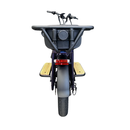 Rear Carrier Rails for AIMA Big Sur Cargo E-Bike
