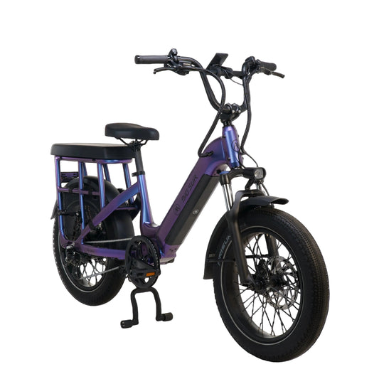 AIMA Big Sur Cargo 15A 20" E-Bike